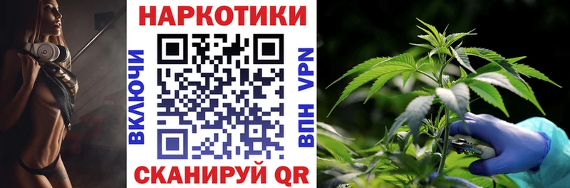 APVP Салаир