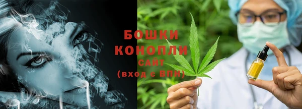 стаф Горнозаводск