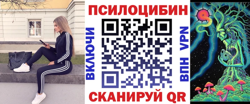 Галлюциногенные грибы ЛСД  Купить где  Салаир 